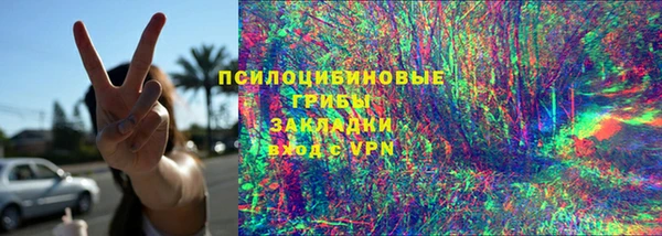 дживик Елизово