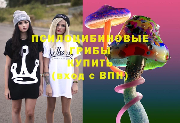 бутират Ельня