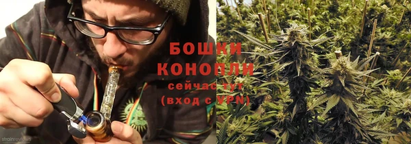 дживик Елизово
