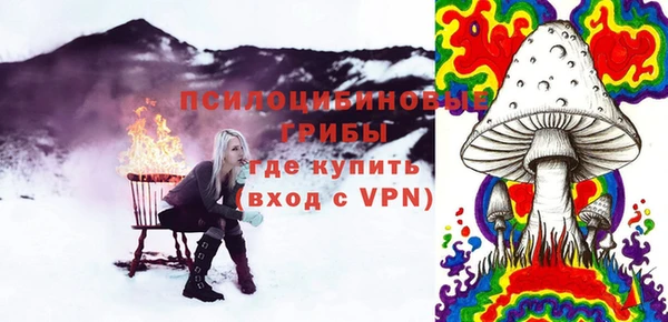 дживик Елизово