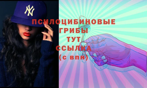 дживик Елизово