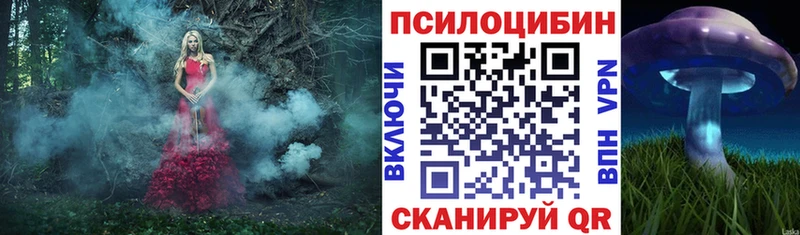 Псилоцибиновые грибы Cubensis  Староминская 